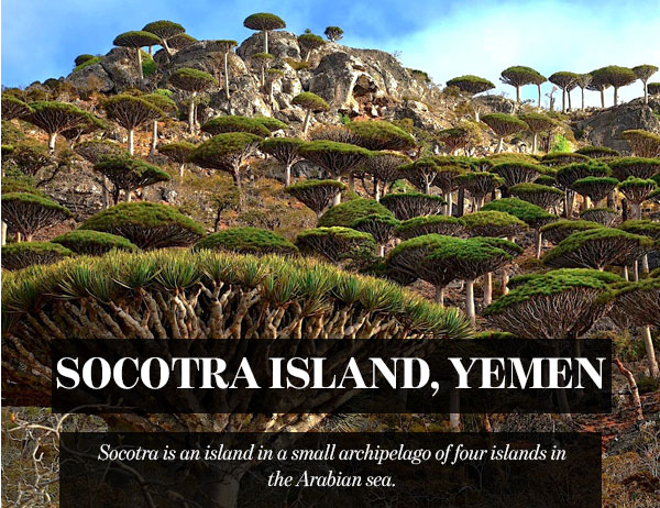 Socotra Island, Yemen