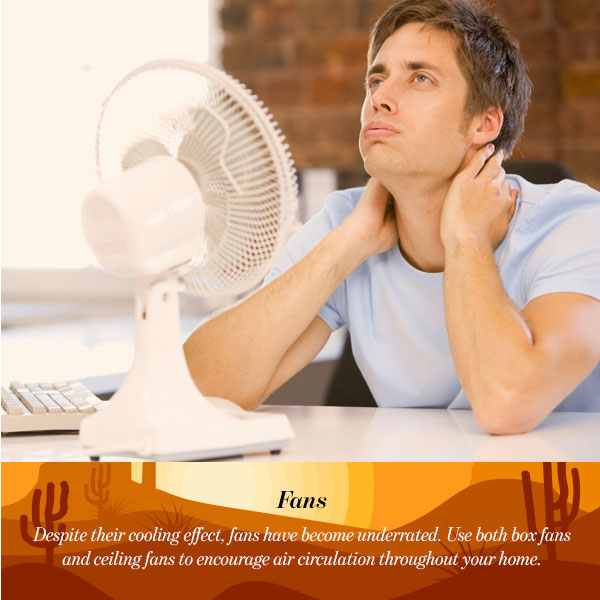 Fans 