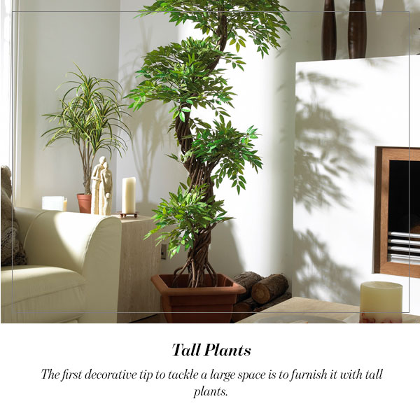 Tall Plants