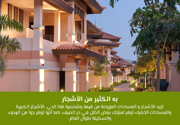 به الكثير من الأشجار