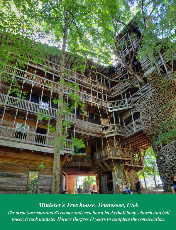 Minister’s Tree house, Tennessee, USA