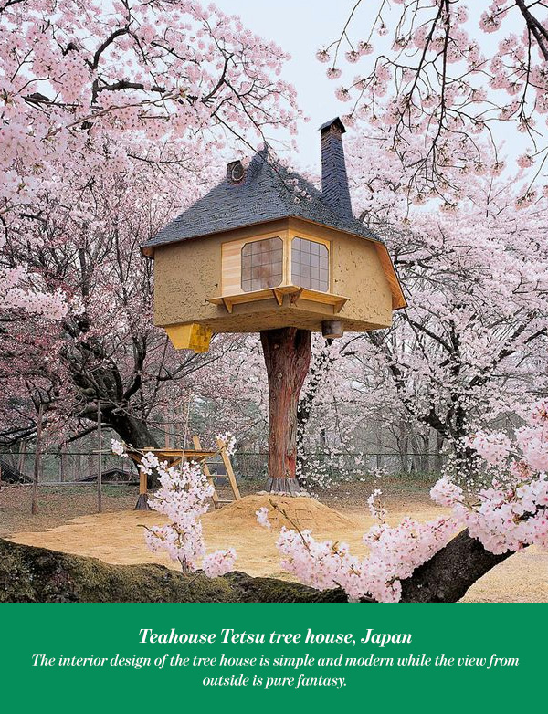 Teahouse Tetsu tree house, Japan