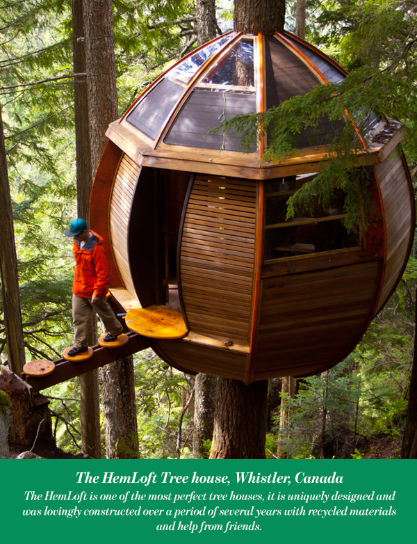 The HemLoft Tree house, Whistler, Canada