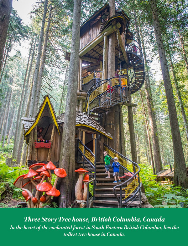 Three Story Tree house, British Columbia, Canada