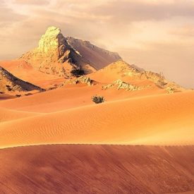 أجمل الأماكن الطبيعية في دول مجلس التعاون الخليجي