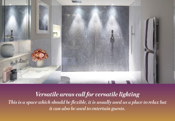 Versatile areas call for versatile lighting