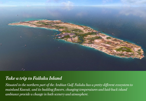 Failaka Island
