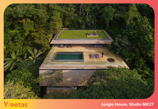 Jungle House