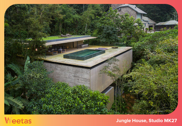 Jungle House