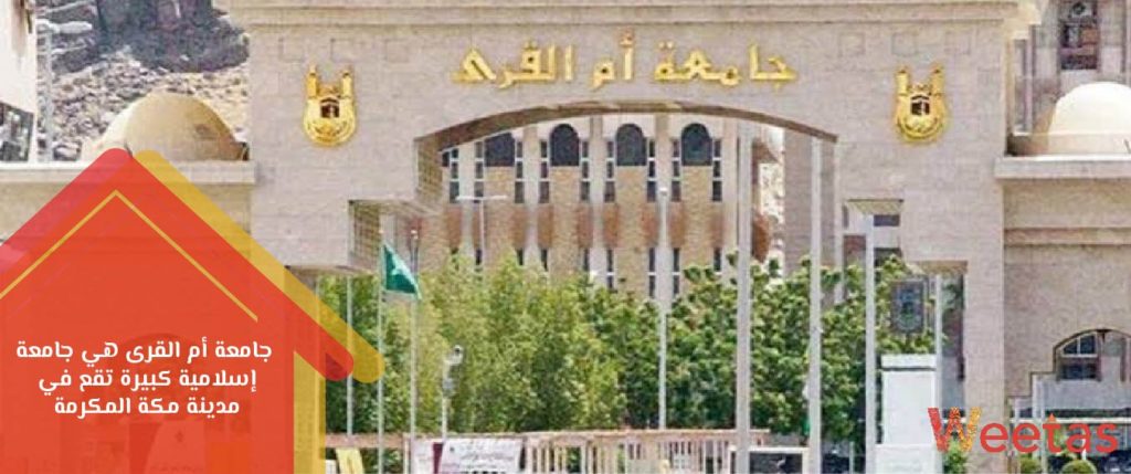 الجامعات السعودية إليك أفضل 7 جامعات في المملكة العربية السعودية